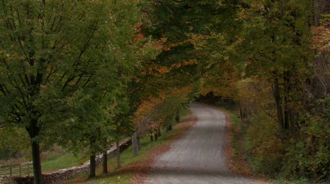 Country roads in the fall Video stock 270645