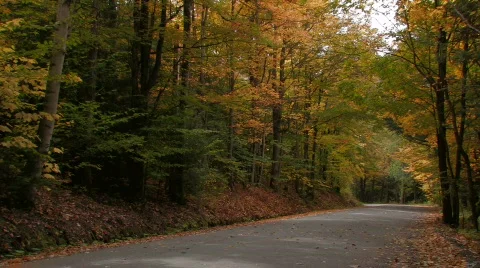 Country roads in the fall Stock Footage 271038
