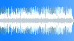 Country Rock Barn Boogie No 02 w Piano 320 B 120 bpm Stock Music