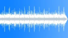 Country Rock - Elation No 03 - Modern Country Rock 235 C 105 bpmStock Music