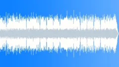 Country Rock Whiskey Blues No 04 Pedal Steel Boogie 320 D 120 bpm Stock Music