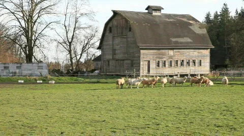 Country Scene Stock Footage 641574