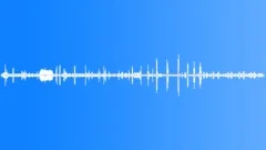 Country Scene Sheep Lambs Sound Effect