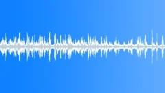 Country side animals - soundSound Effect
