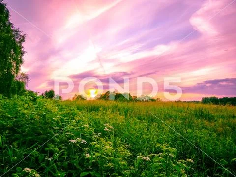 Country side nature & amazing sunset Stock Photos