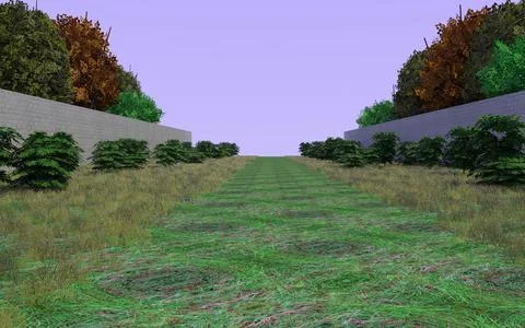 Country Side Path 6 3D Model