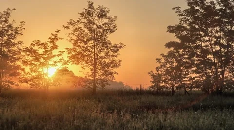 Country side sunrise Stock Footage 43233078