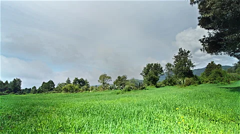 Country Side Timelapse with grey clouds in the background Stock Footage 63006843