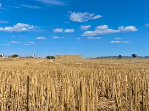 Country side view with empty road, blue sky and white cotton clouds Stock Photos