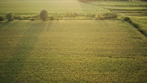 Country side view Stock Footage 161153298