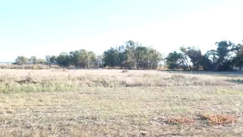 Country side walkthrough (3) Stock Footage 118405747