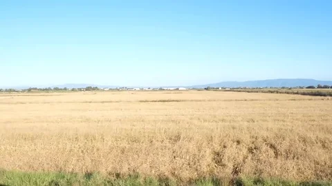 Country side walkthrough (5) Stock Footage 118405649