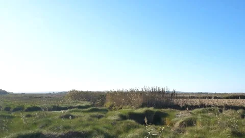 Country side walkthrough (7) Stock Footage 118405713