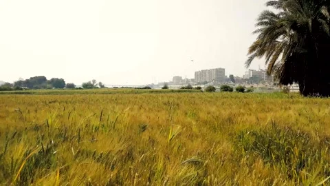 Country side wide Stock Footage 171725239
