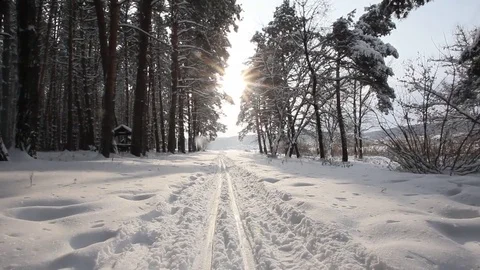 Country skiing in the winter forest Stock-Footage 70288685