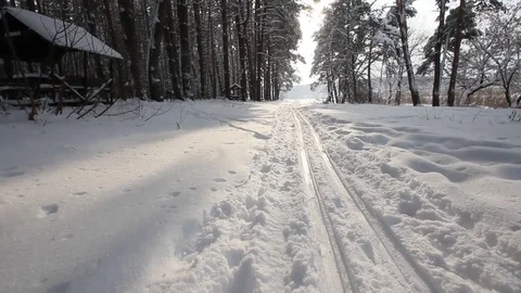 Country skiing in the winter forest Stock Footage 70289151