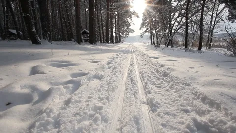 Country skiing in the winter forest Stock Footage 70289176