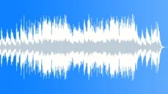 Country - Slide Guitar Stock Music