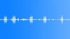 Country southern amb. 01 1:20Sound Effect