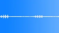 Country southern evening amb. 02 :15 Sound Effect