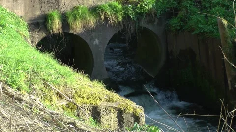 Country stream culvert rushing flowing rural countryside Stock Footage 48945299