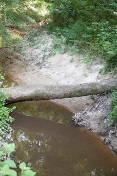 Country Stream Stock Photos