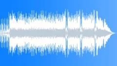 Country Strum 60 Seconds Stock Music