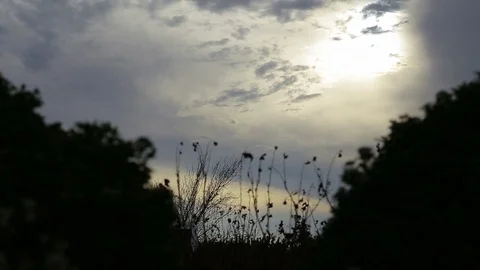 Country sunrise Stock-Footage 77050488