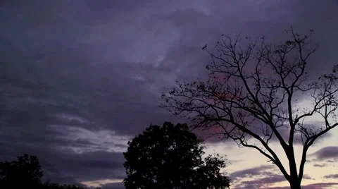 Country sunset 2 Stock Footage 32064494