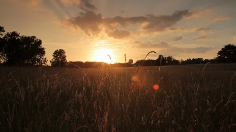 Country Sunset Stock Footage 91222703