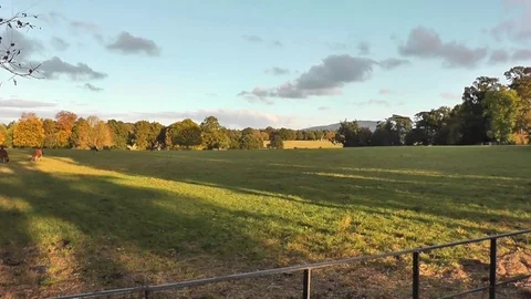 Country View Stock Footage 75959665