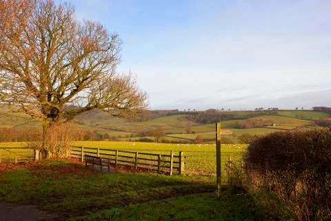 Country walking Stock Photos