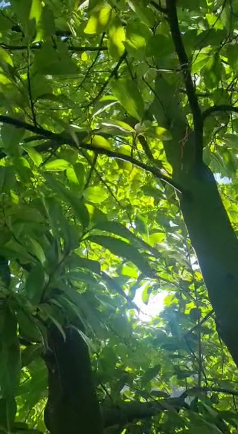 Country walks in the summer time Stock Footage 169353627