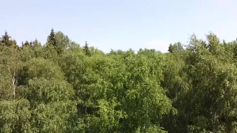 Country_7 Stock Footage 160362492