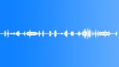 COUNTRY,DAY Sound Effect