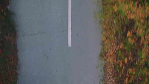 Countryroad Stock Footage 69093450