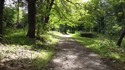 Countryside 4K Stock Footage 161112934