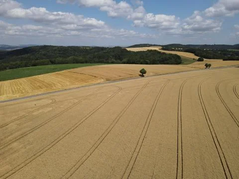 Countryside from above with crop fields, corn fields and forest trees in summer Stock Photos