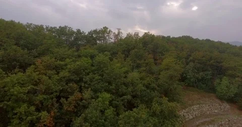 Countryside Aerial View Stock Footage 80881704