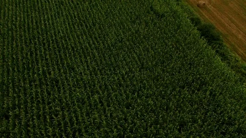Countryside Aerial View Stock Footage 93746003