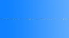 Countryside atmosphere busy birds dogs barking distantSound Effect