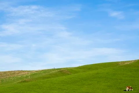 Countryside background Stock Photos