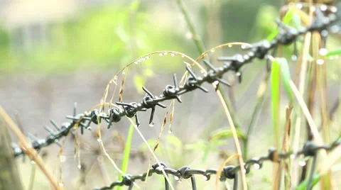 Countryside barbed wire  Vidéo 58144628
