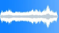 Countryside Birds Quiet AmbienceSound Effect