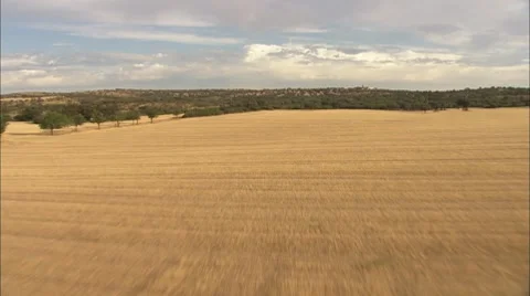 Countryside of Castilla 7 動画素材 8826871