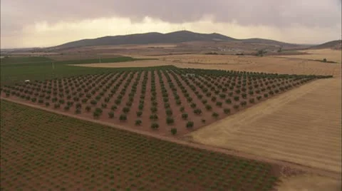 Countryside of Castilla 75 스톡 동영상 8846047