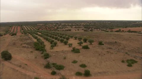 Countryside of Castilla 84 Stock-Footage 8847154