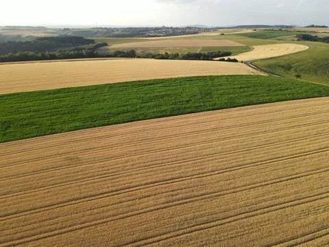 Countryside with crop and corn fields in summer Stock Photos