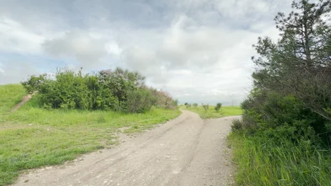 A Countryside Dirt Road Splits Into Two Paths In A Green Grassy Field Video stock 335149020