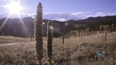 Countryside Drive Vídeo Stock 58842928